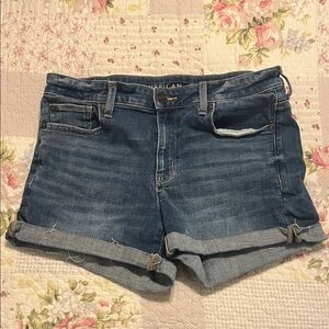 American Eagle Outfitters Women's Blue Denim Shorts